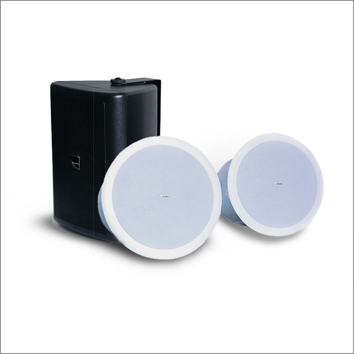 LS5WT Wall Speaker and LS6CT Ceiling Speaker